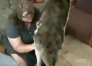 Masked Plus-size zoofil sucks her lovely dog