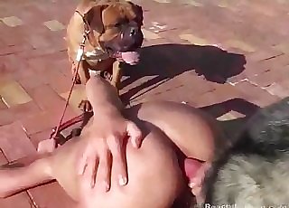 Pervy gets screwed by a dog