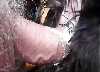 Rear end is getting an amazing anal internal ejaculation by a male zoophile