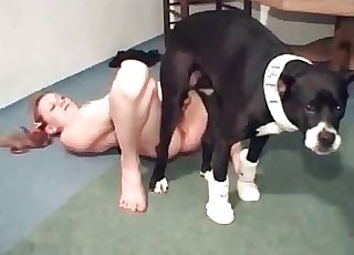 Incredible hound is totally banging this raw pussy for fun