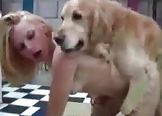 Dogs fucking fast and raw