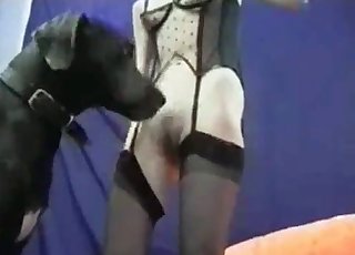 Slut wearing a sexy lingerie wants to plumb a cute dog