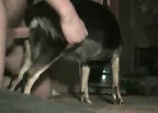 Guy fucking his obedient dog here