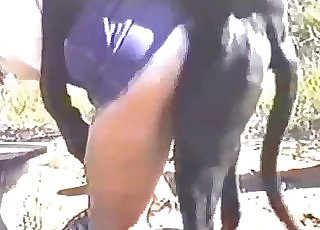 Beauty and her Doberman are enjoying bestiality dog fuck