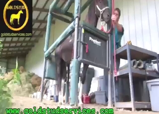 Zoo XXX horse porn movie with a legit orgasm