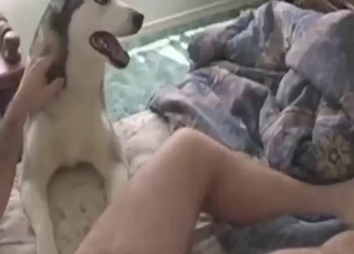 Dude uses his dick to keep this hot dog gaped