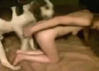 Dog with white and black fur fucks a zoophile