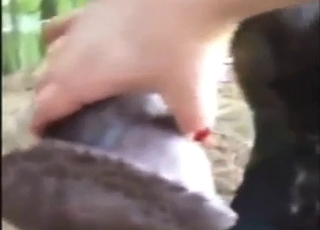 Zealous lady is going to jerk that doggo off