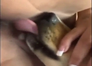 Braided babe is going to get licked by a mutt