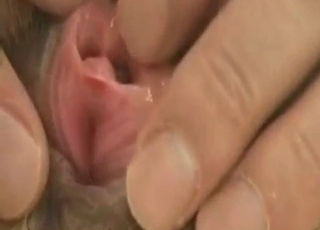 Guy buries his face in this dog's sexy crotch