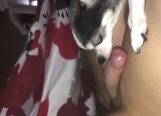 His girlfriend's dog is just like his girlfriend