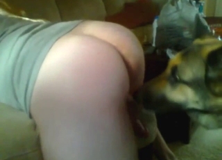 Asshole of a zoophile is ready for a nice fuck