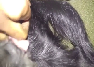 Dude is going to be fingering a horny animal