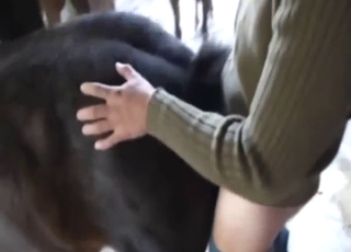 Guy is going to fuck that mare back in 2013