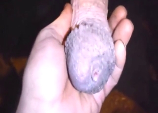 Horse dick handjob looks so incredible here