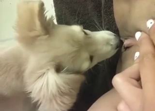 Zoo XXX with a dog that sucks dick alongside