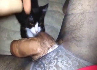 Zoophile scene with a guy who gets cock-kissed