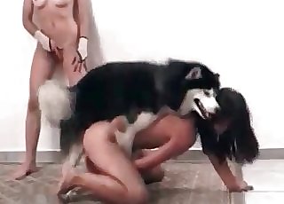 Horny sluts decide to have some horny joy with a dog