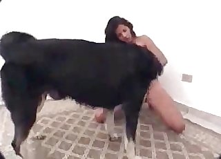 Babe is getting screwed by a dog
