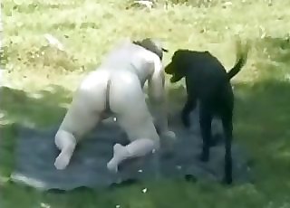 Chubby call girl and her doggy have good fuck