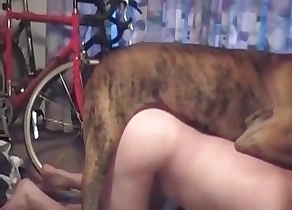 Great doggie luving rectal penetration