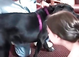 Dog loves getting its jizz-shotgun sucked