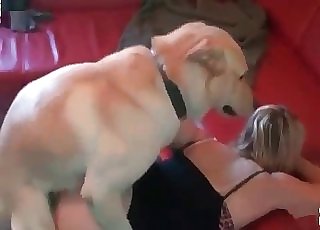 Blond licked by her doggy