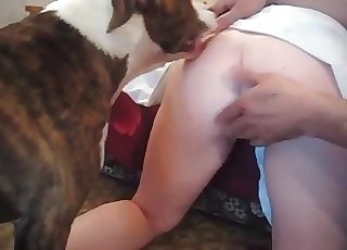 Stroking off doggy dick to see some cum