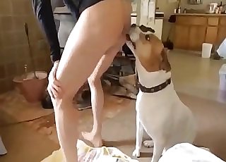 Casual seduction of a sexy doggo