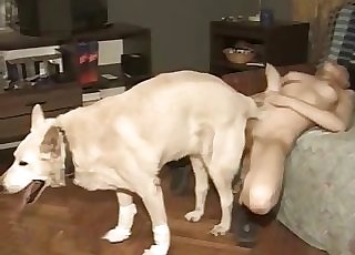 Dog boinking hairless pussy here