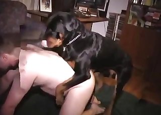 Doggie fuck with a passionate dog