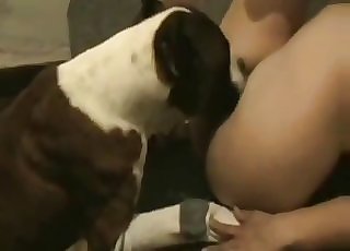 Doggy sensually licks my cock-squeezing snatch