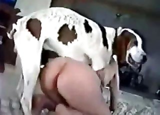 Spotted dog fucked her fuck hole with energy