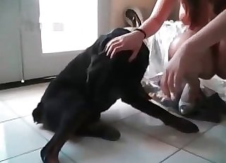 Crazy bestial sex with a good instructed doggy
