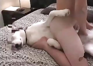 He cannot stop teasing that sexy pet