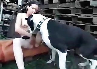 First dog sex experience