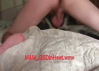 Trying to fuck that hairy dog