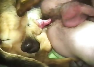 Gorgeous doggy drilled a tight fuckbox