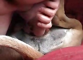 Dude is playing with his doggy's tight asshole