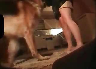 Dog fucked her moist crack with force