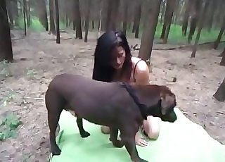 Doggo gets passionately plowed by a great slut