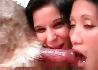Doggy cock and nasty brunette