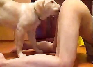 Extremely sultry oral sex with a mutt