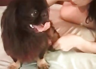Dark haired playfully sucking dog's dinky