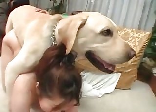 Nasty bestiality action for a woman and a horny doggo