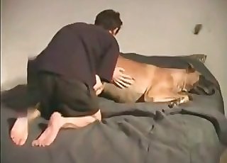 Doggy and a hot gal fall in bestial love