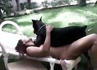 Dominant large Doberman is on top of a horny zoophiliac