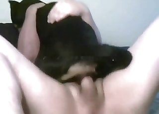 Fucking a small black mutt in the bed