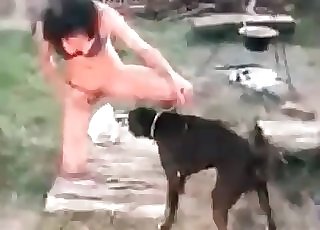 Tiny black doggo is having an incredible brute sex session