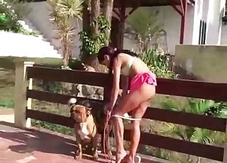 Juicy and tasty pussy slurped by two dogs